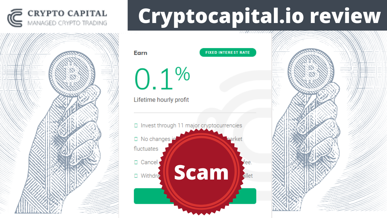 Cryptocapital.io Review: A Ponzi Scheme Through And Through | by setan29 |  Medium