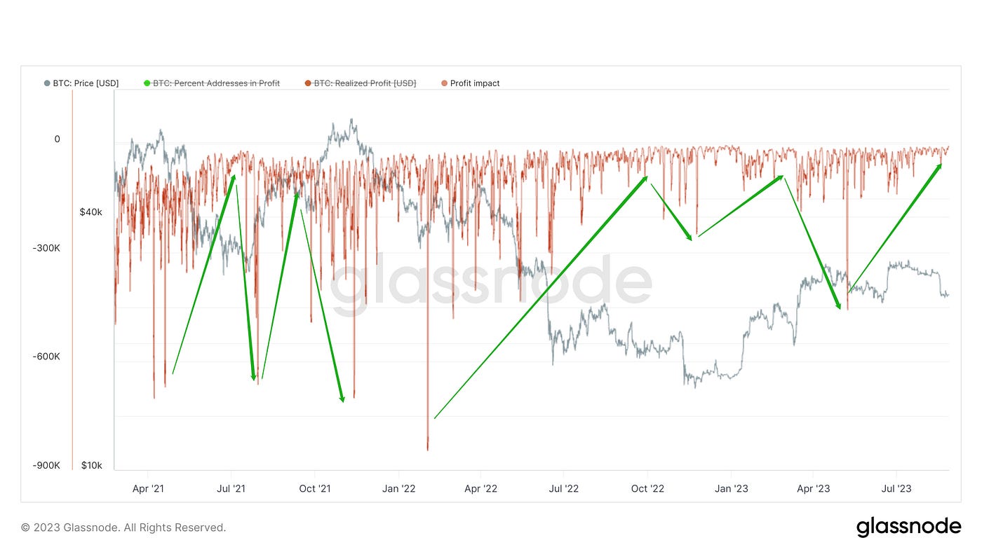 景入深林，复照青苔｜WTR 8.28