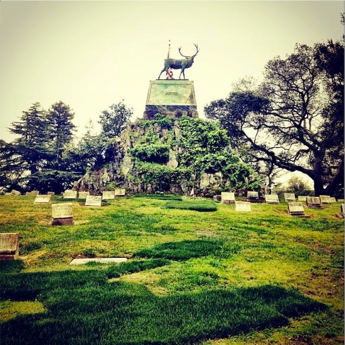 Mountain_view_cemetery