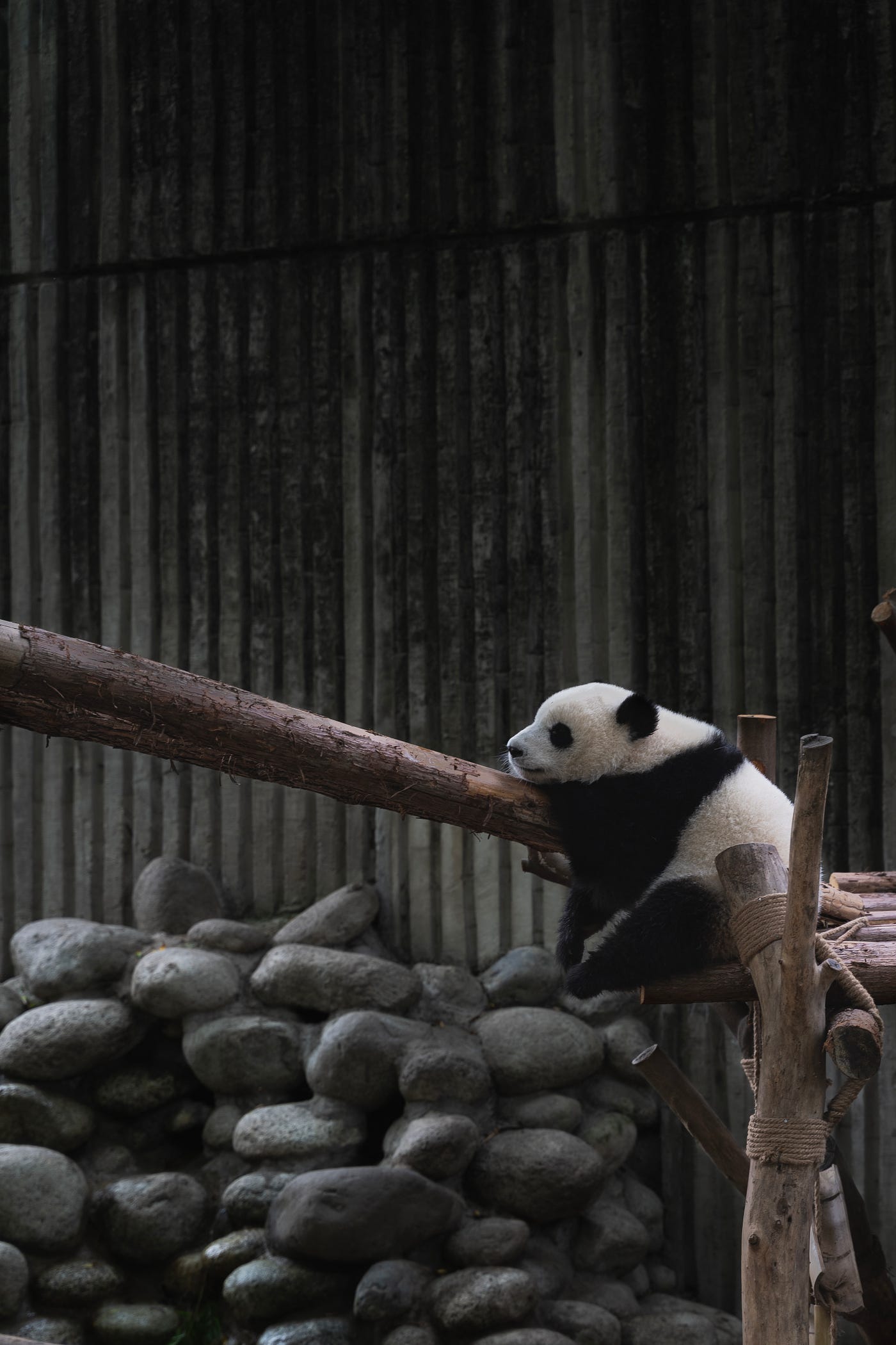 Drop the last row pandas factory sale ladorrego ar