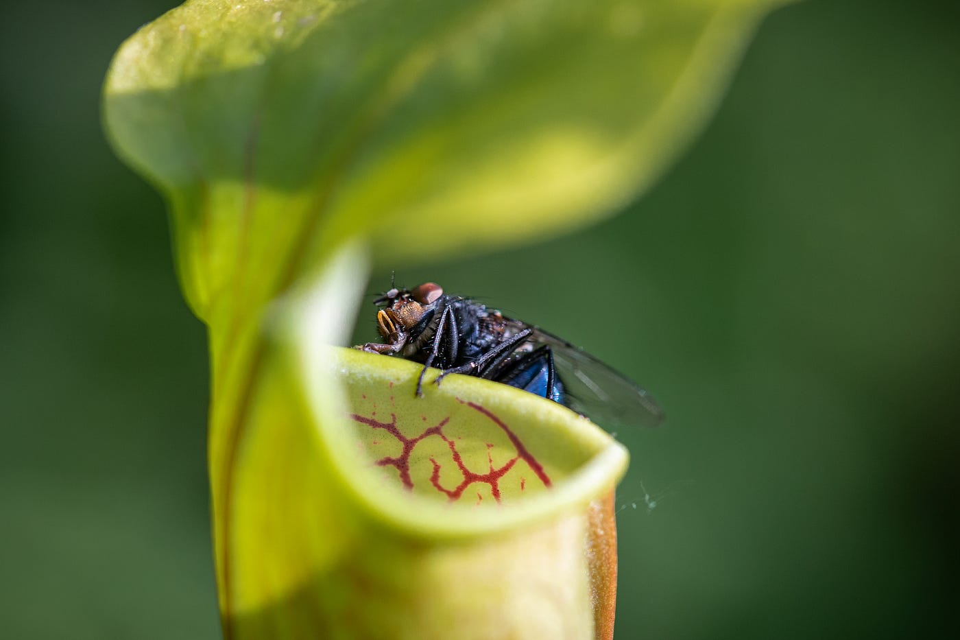 Photo by Raphael Wild on Unsplash