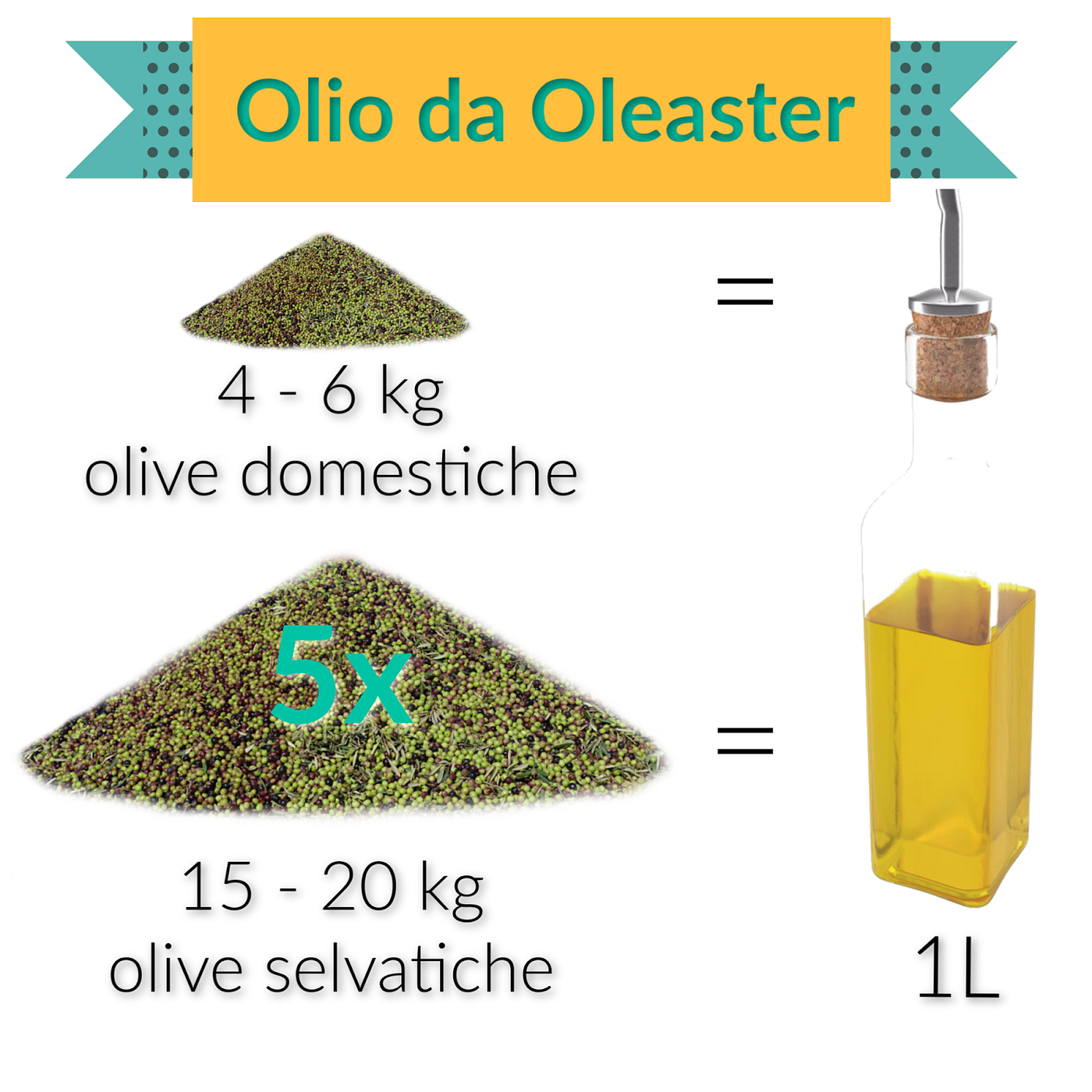 Olio Extravergine di Oliva: tutto quello che c'è da sapere | by Mariano  Pallottini | Medium