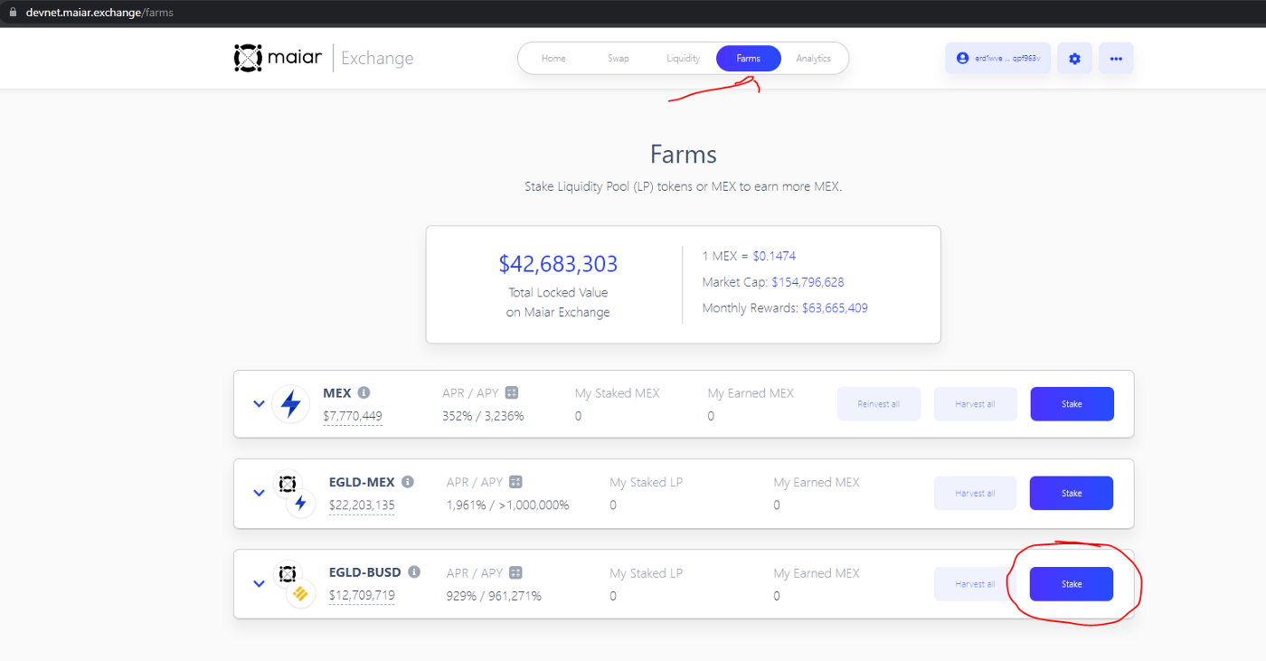 Maiar Exchange - Testnet functionalities practicing tutorial | by MGStaking  | MGStaking | Medium