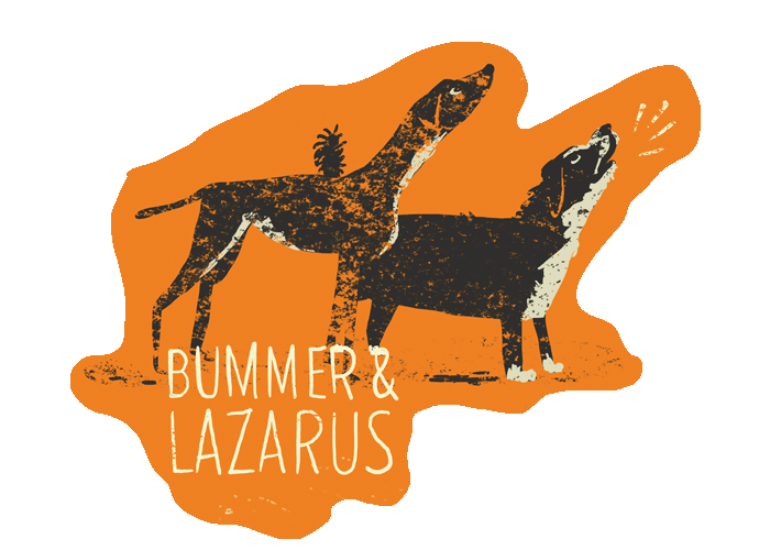 Bi-animals_bummerlazarus_082113