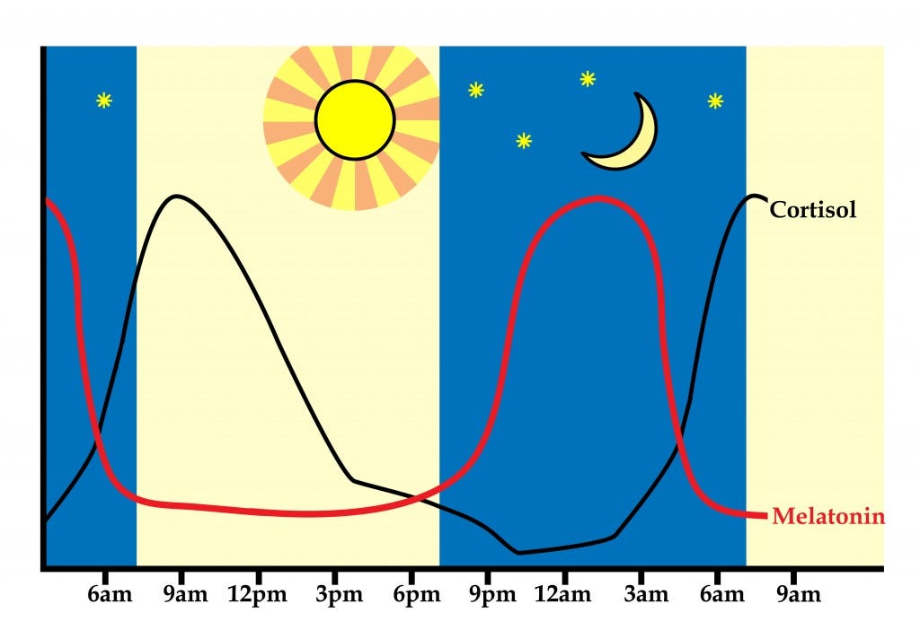 Sleep to Be At Your Best Part 1 by Jason Howlett Medium