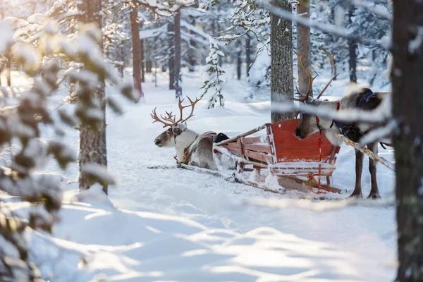 10 Experiências Inusitadas para um Natal Diferente