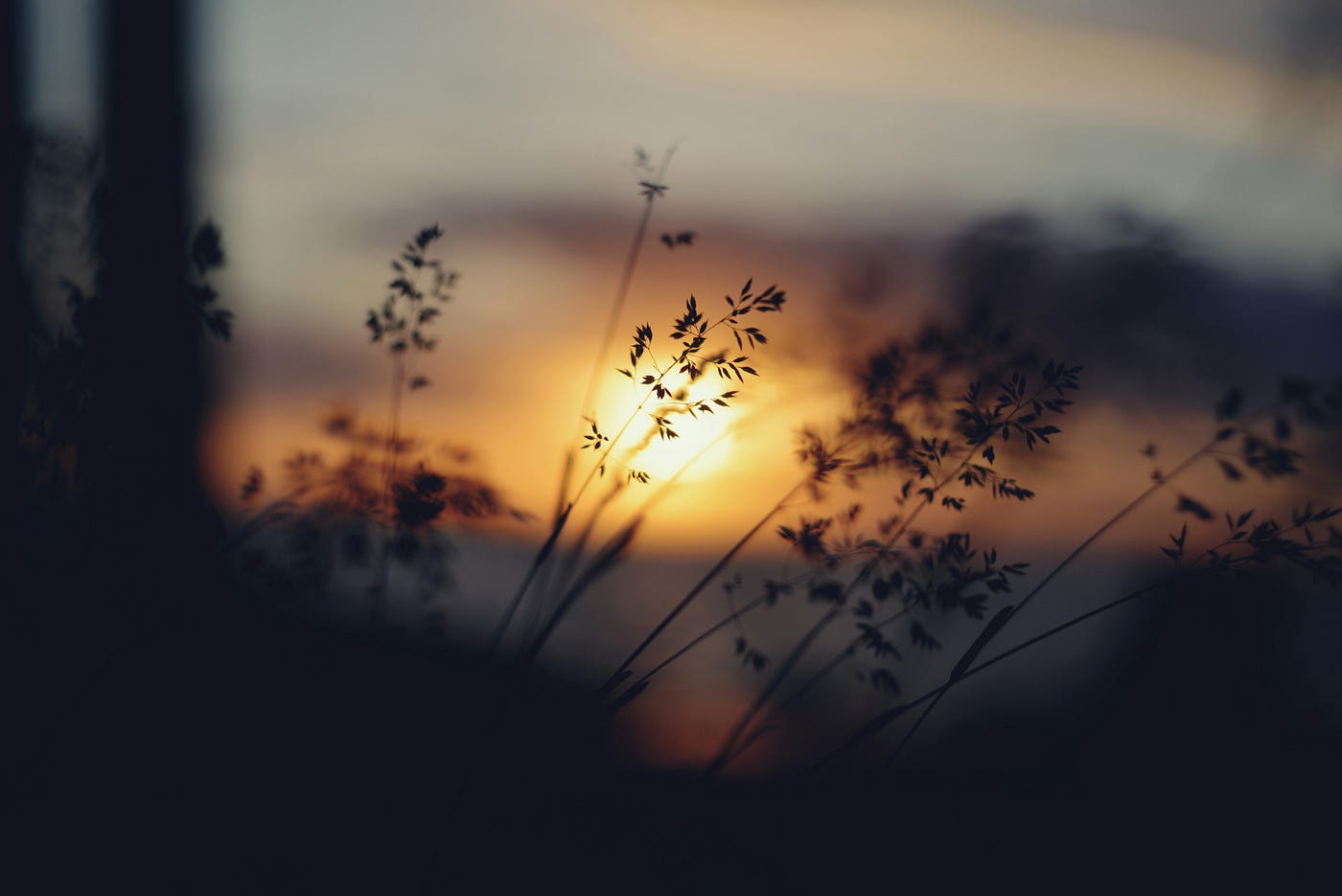 Photo by Liana S on Unsplash