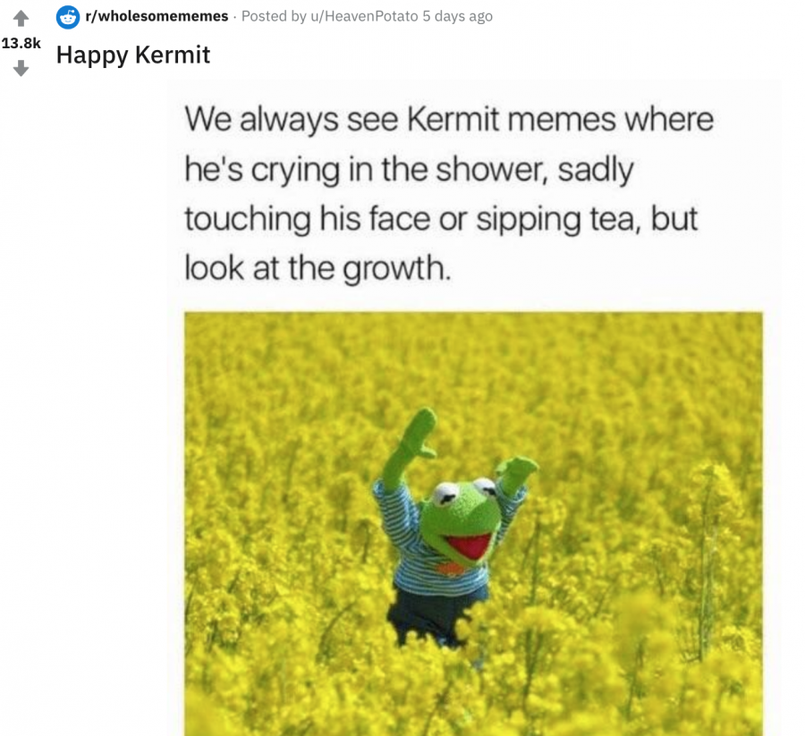 What is the wholesome internet? How wholesome memes became a trend, by  diggit magazine