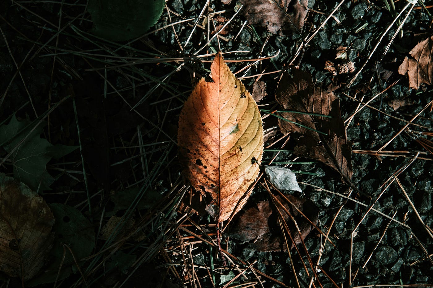 Photo by Abdulaziz Alfawzan on Unsplash