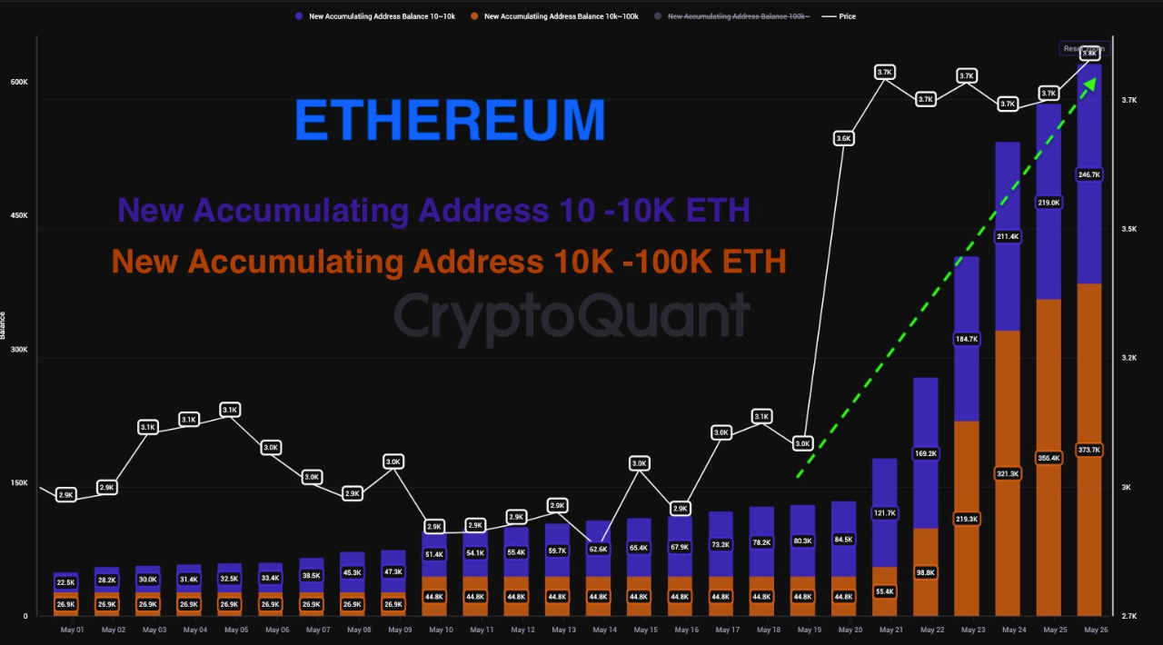Ethereum ETF Ignites the Market; PEPE and NOT Mark New Highs | by Paul  Bennett | Coinmonks | Medium