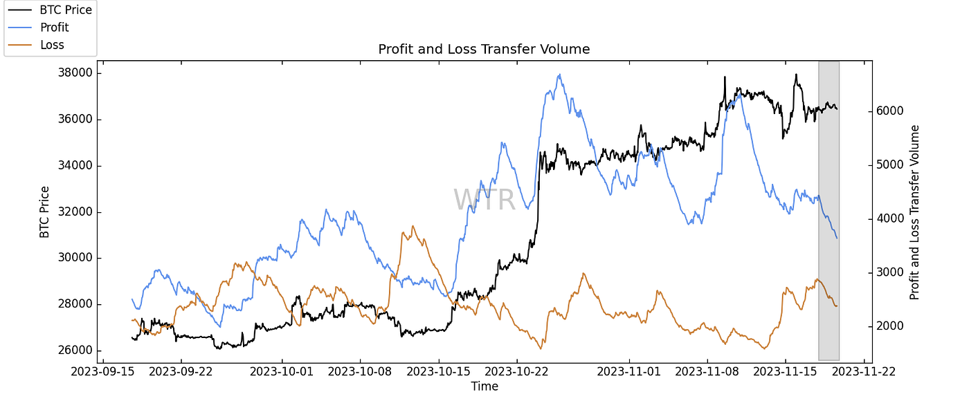 山窗初曙，透纸黎光｜WTR 11.20