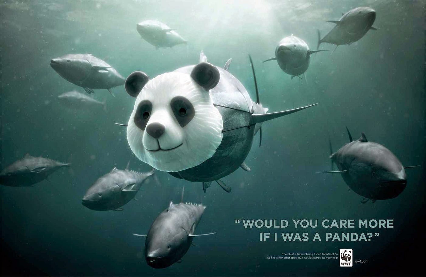 7 Astonishing Print Ads by WWF. Look, be astonished, learn — print… | by  Eszter Brhlik | Better Marketing