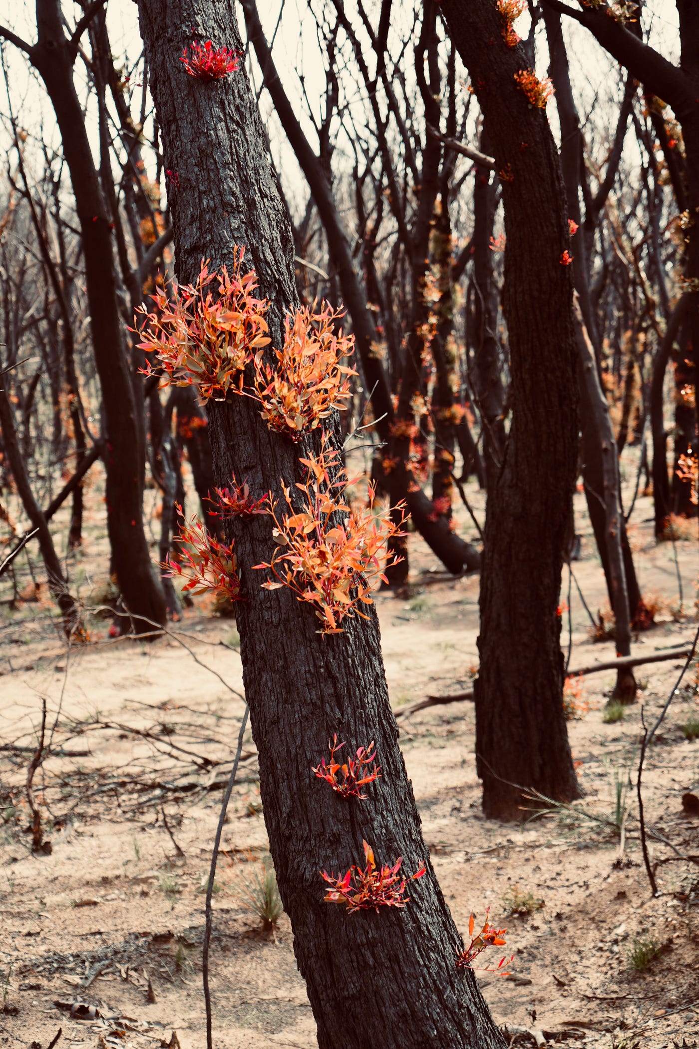Photo by Jack Bassingthwaighte on Unsplash