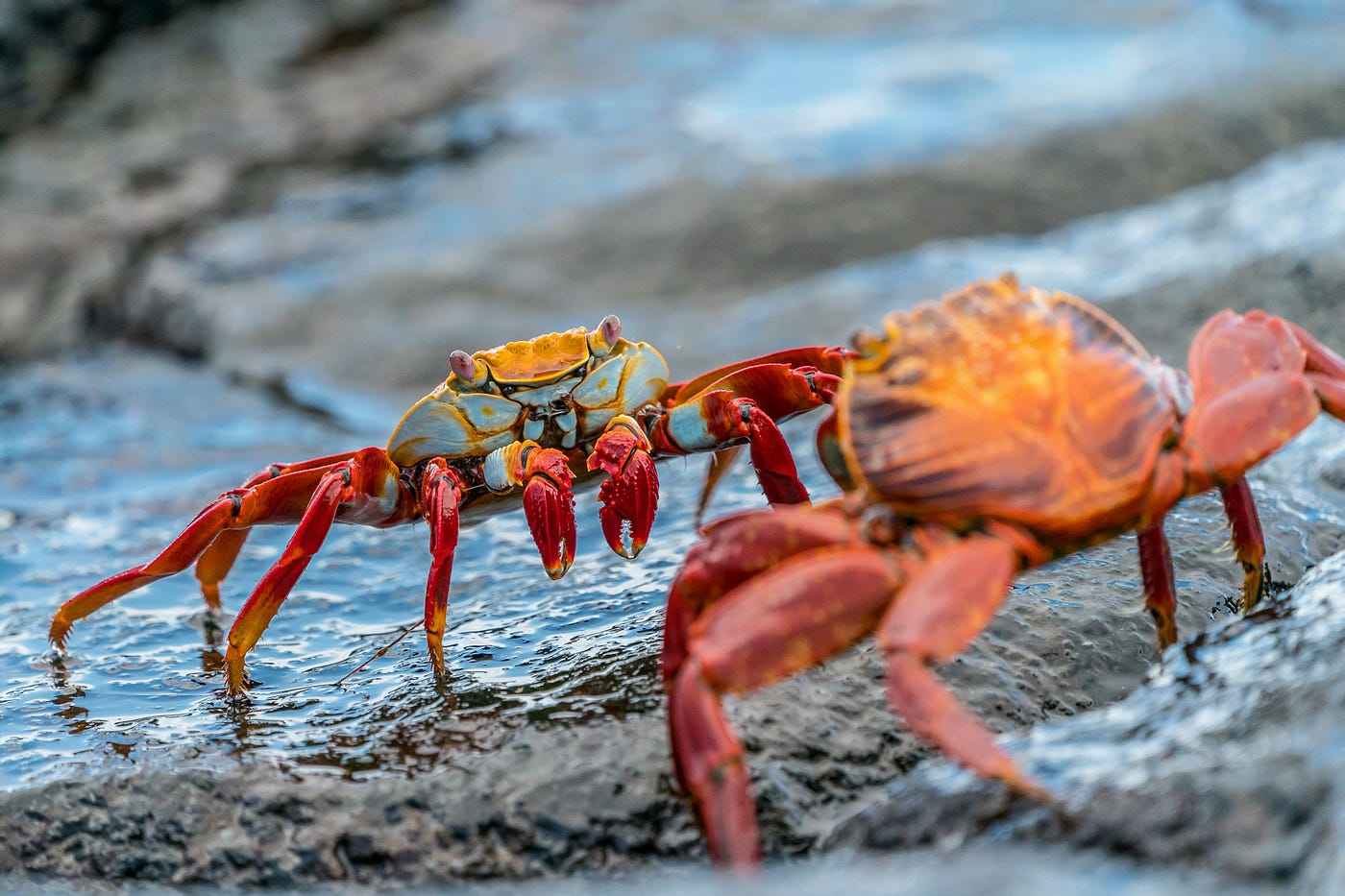 Photo by Rod Long on Unsplash