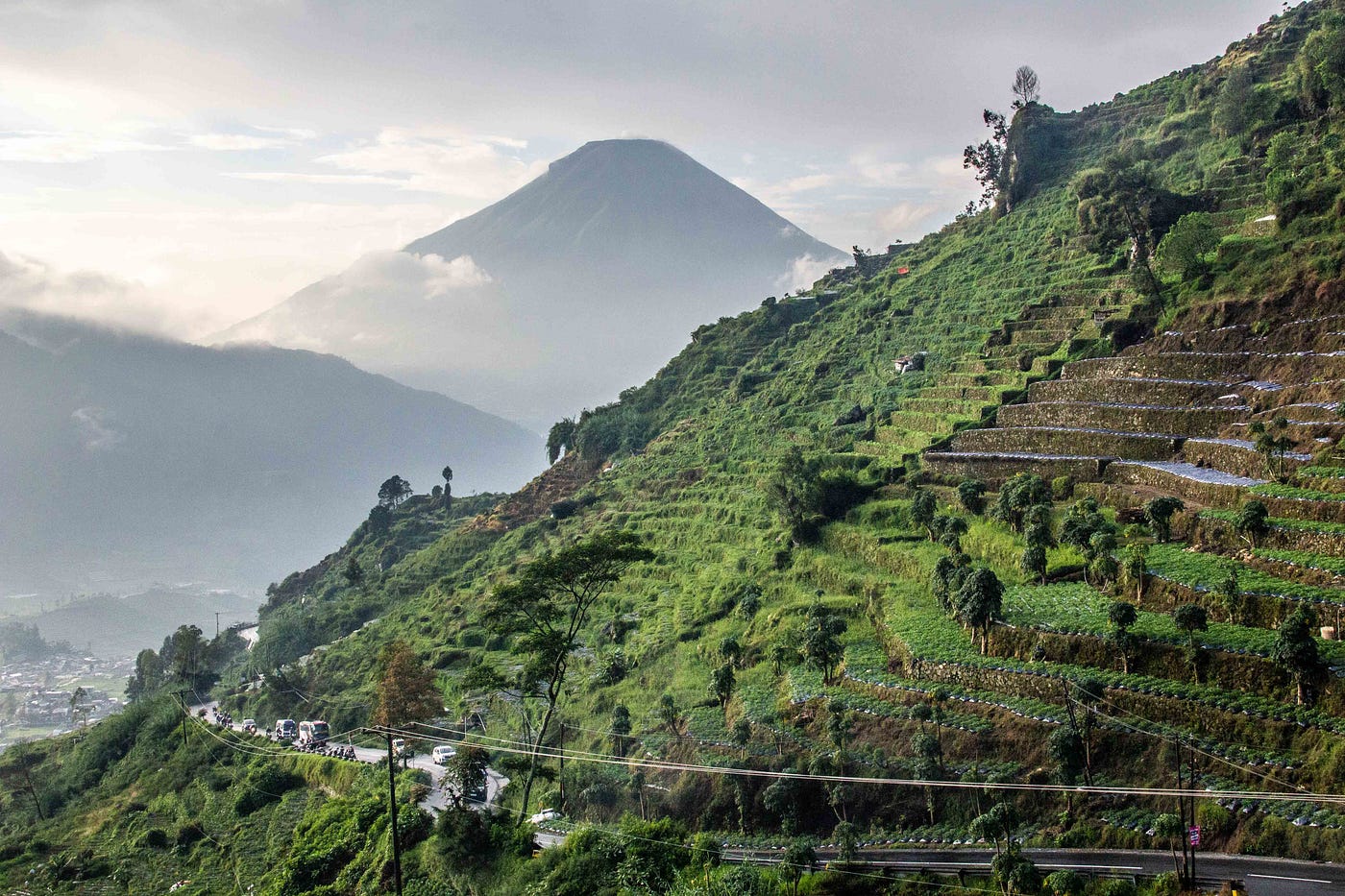 Where Terraces Abound, and Leafy Plants are Found
