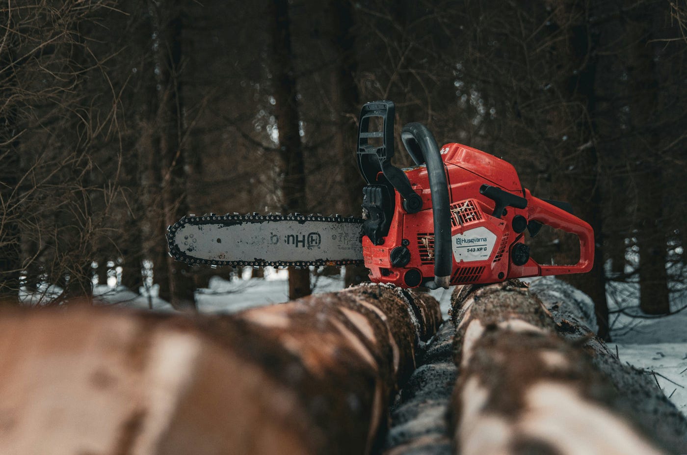 Stihl 260 Vs 261: A Tree Feller's Dilemma | by Jessica Jones | Medium