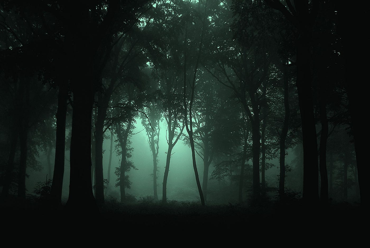 Lighting up the Ethereum Dark Forest | by Joshua Gans | CryptoStars | Medium