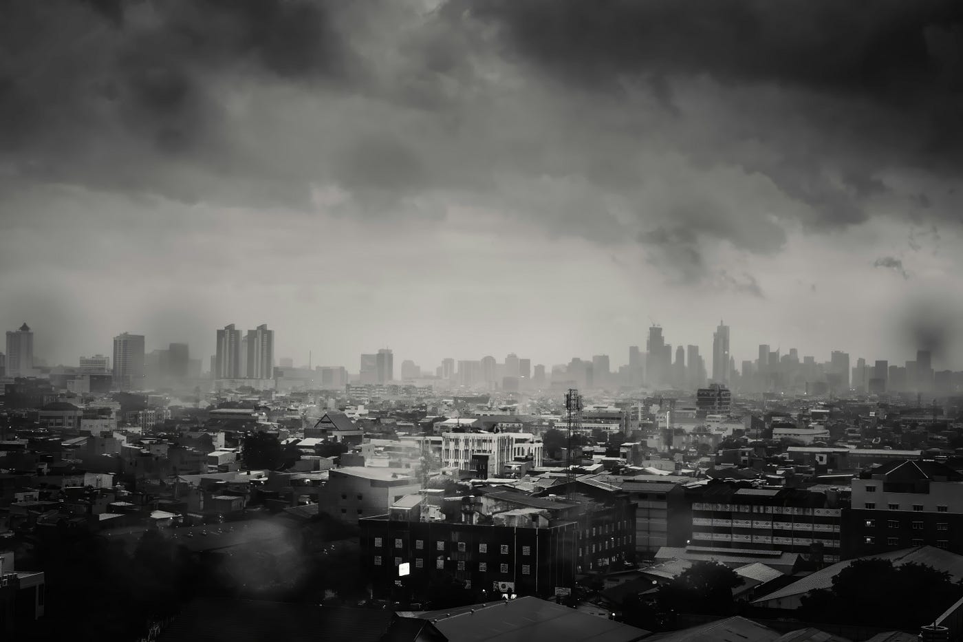 Photo by Fish SUN on Unsplash