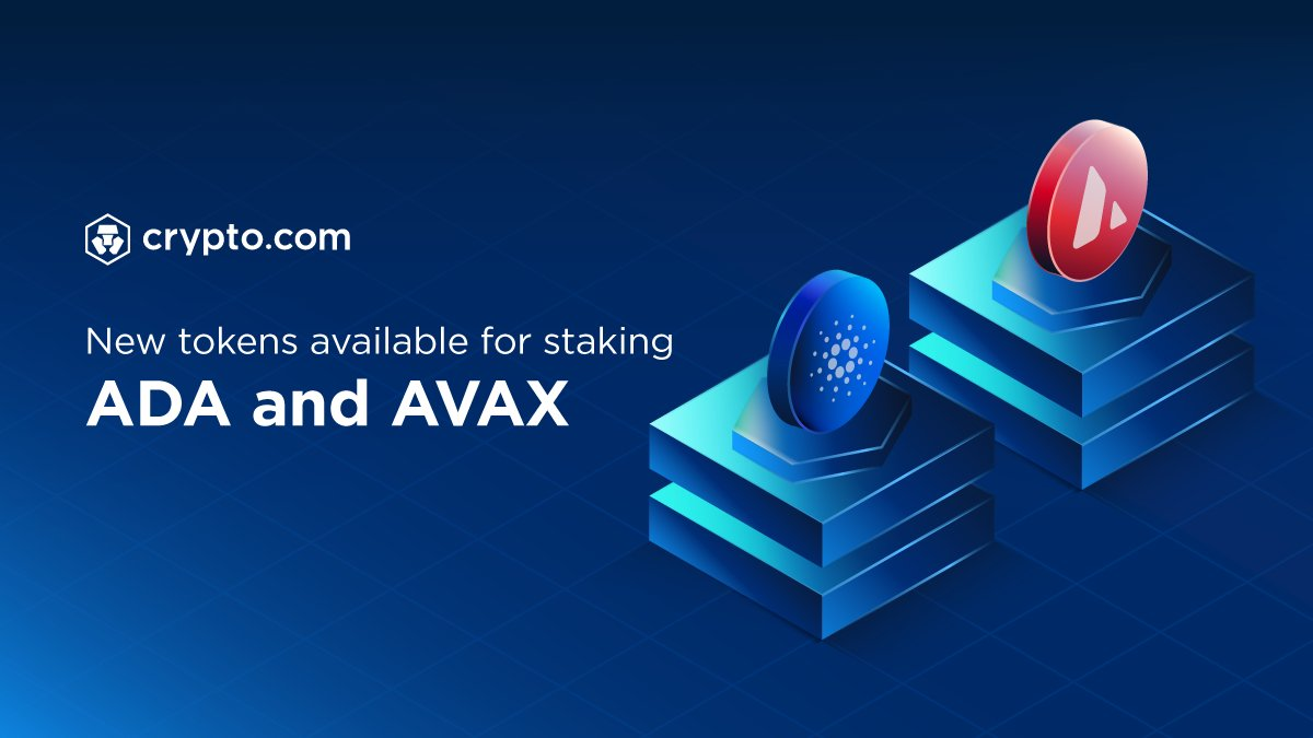 Avax Spotlight. by COMBLearn | by COMB Protocol | Medium