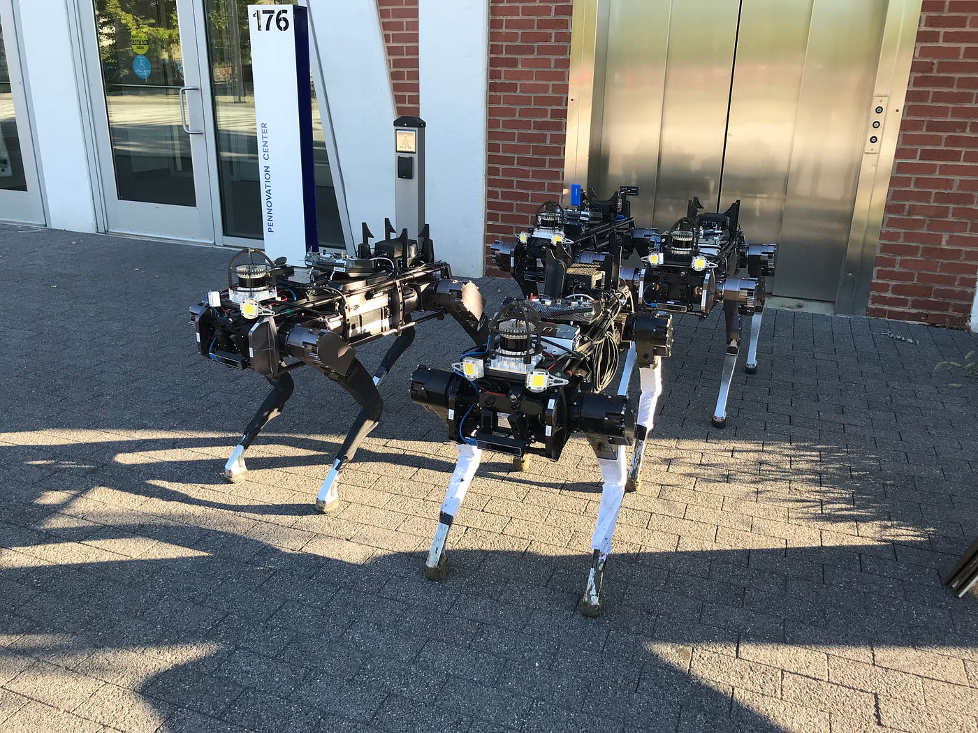 Water utilities use robots and dogs to liven up workplace - Blog