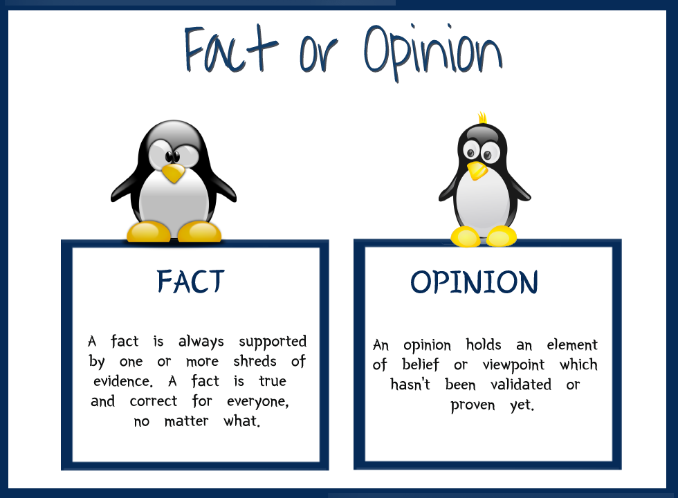 opinion