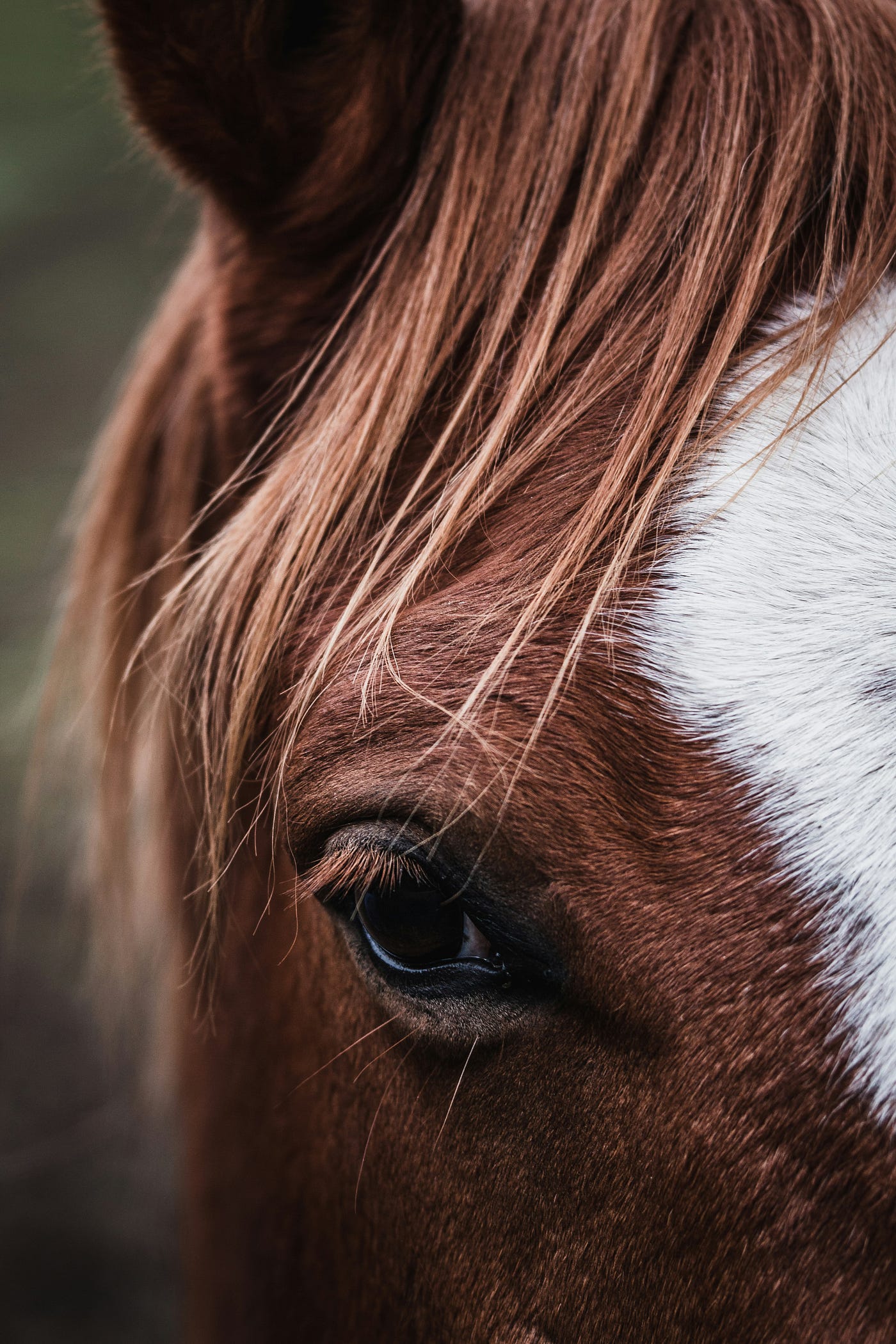 Photo by Aurélien Faux on Unsplash