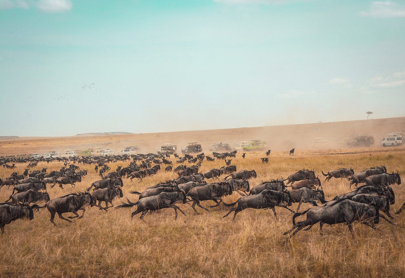 Photo by Harshil Gudka on Unsplash