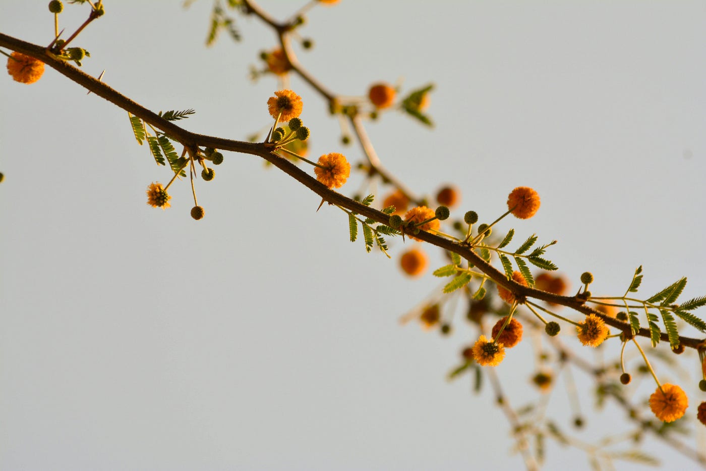 Photo by Christina Deravedisian on Unsplash