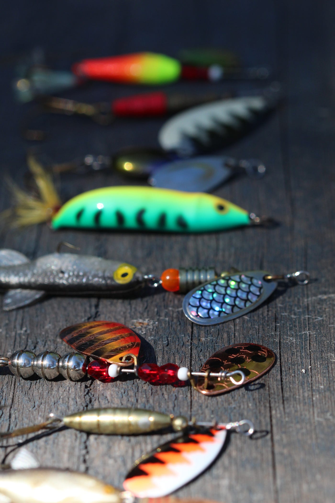 Mastering the Art of Fall Fishing: Unveiling the Top 10 All-Time Best Fall  Fishing Lures, by The Roots