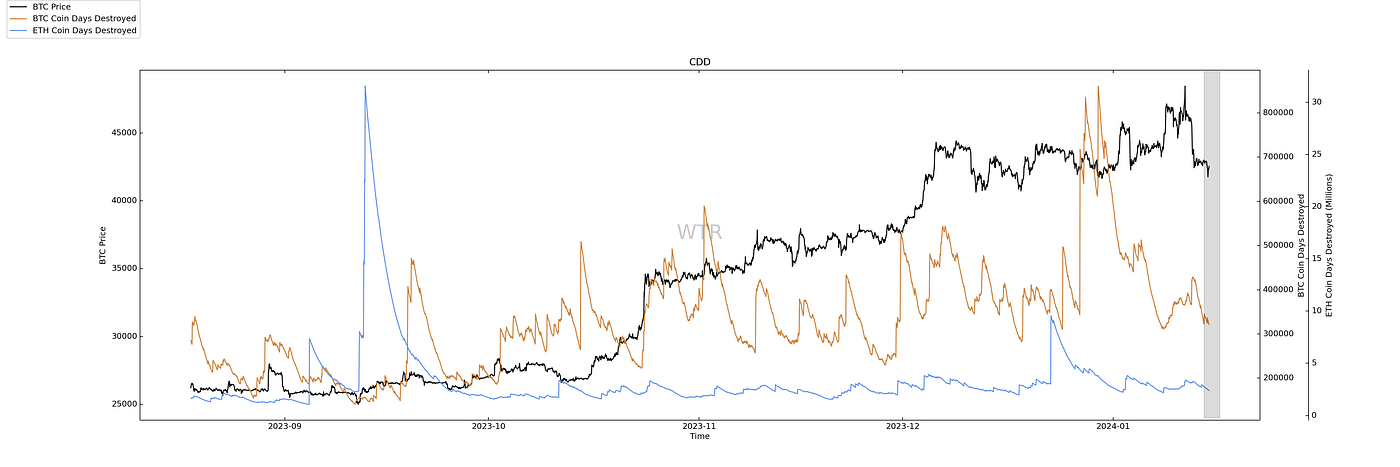 灼灼韶华,风禾尽起｜WTR 1.15