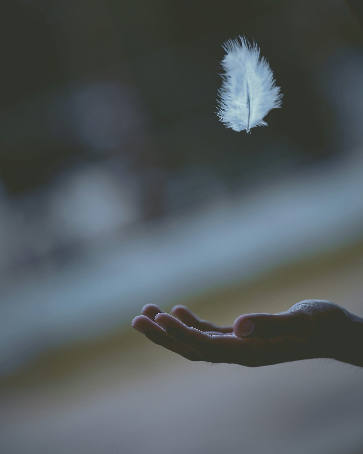A hand, open palm facing up, waits for a white feather to float into place.