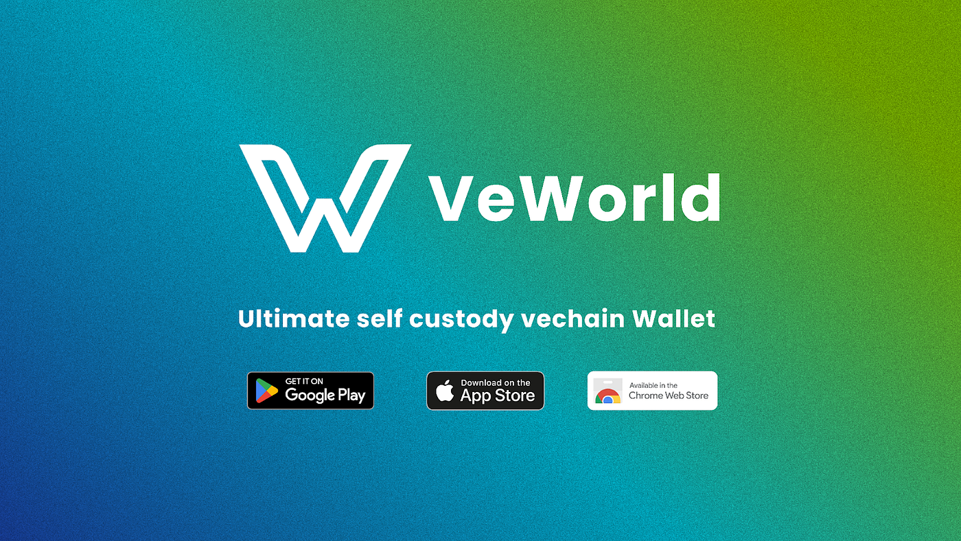 Announcing VeWorld Mobile — The Ultimate Self Custody Vechain Wallet | by  VeChain Official | Medium