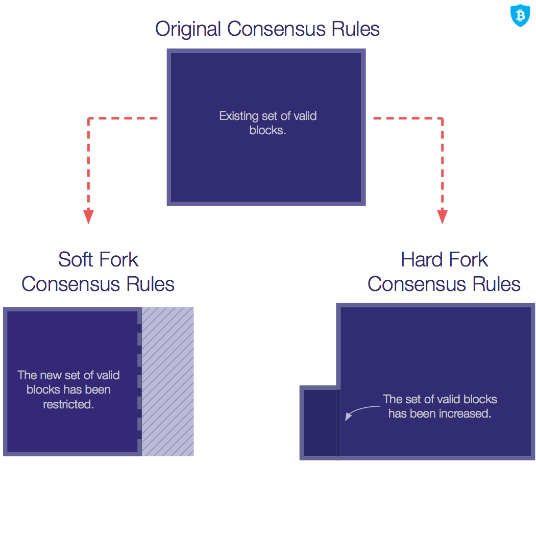 How BitGo Protected Clients During the Bitcoin Cash Hard Fork | by Sean  Coonce | Official BitGo Blog