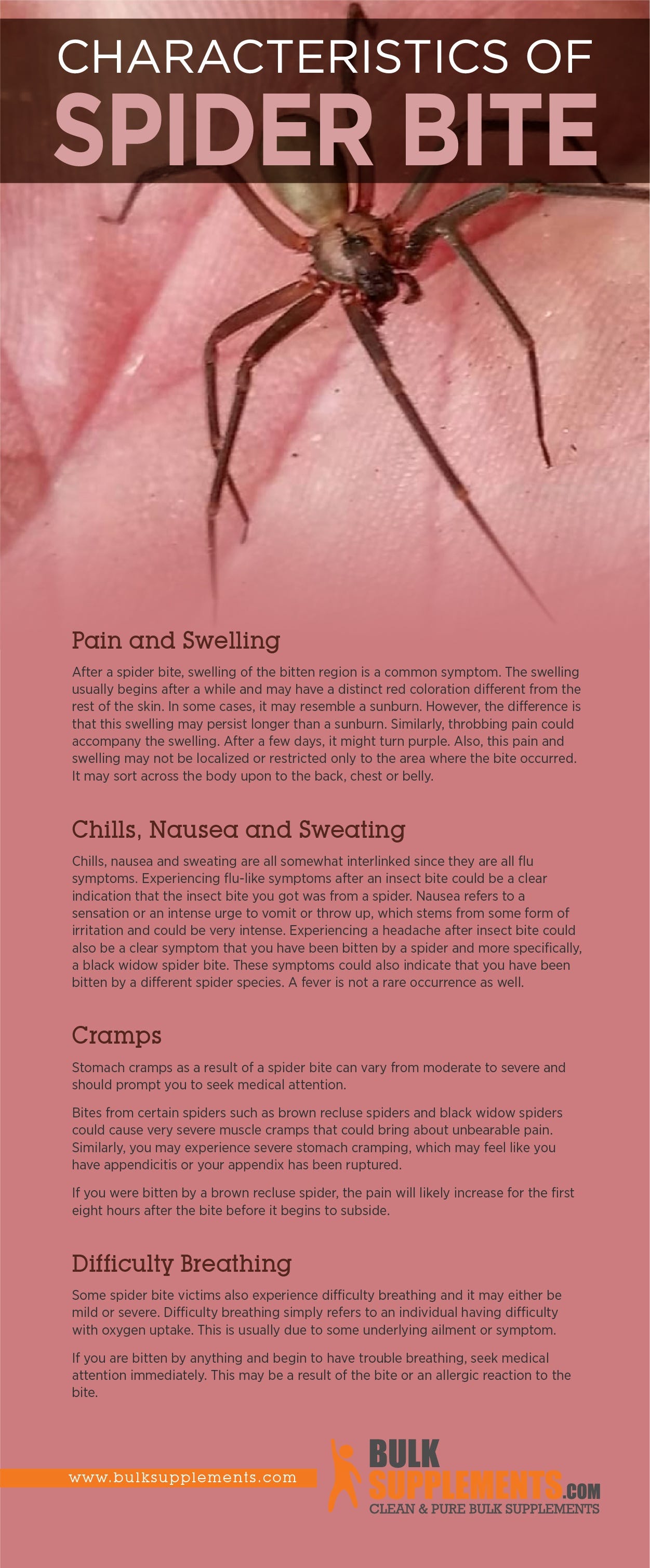 Spider Bite: Characteristics, Causes & Treatment