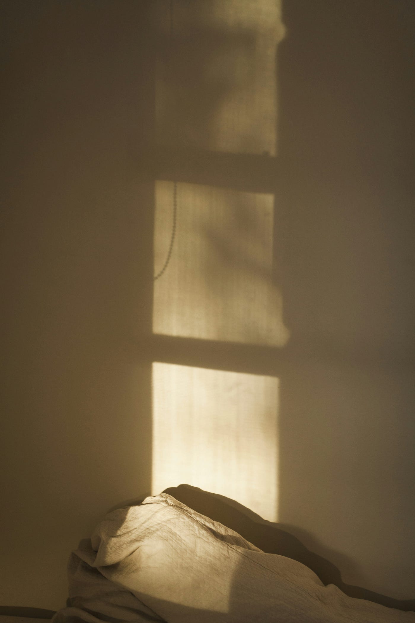 Photo by Alexander Possingham on Unsplash