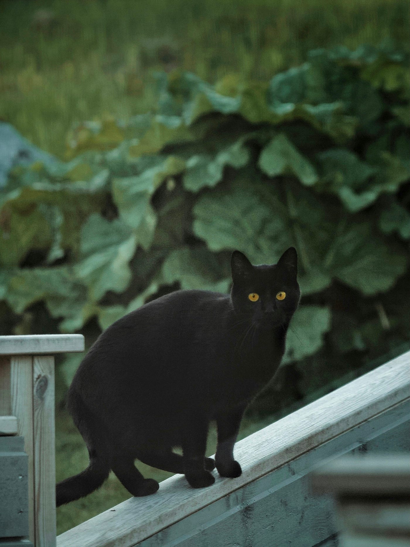 Photo by Kristin O Karlsen on Unsplash