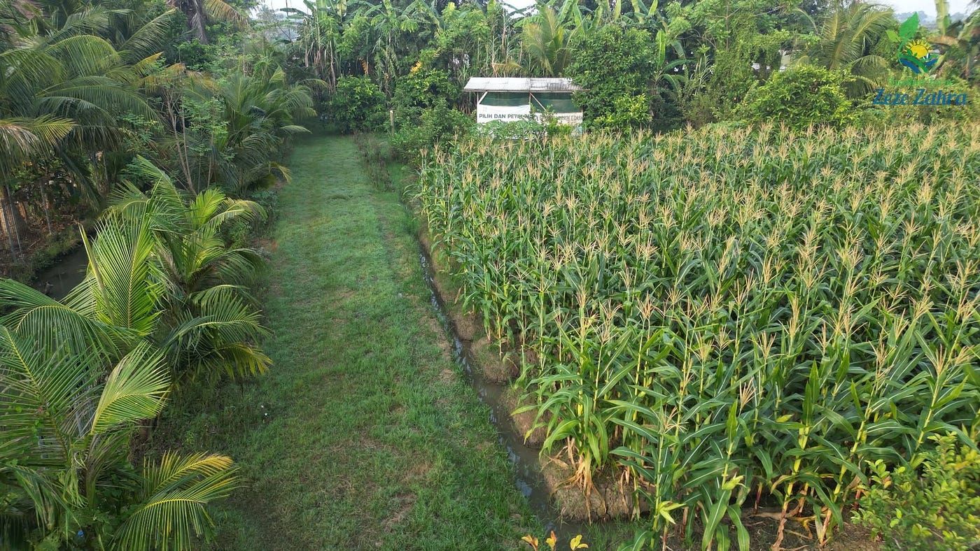 Kabar dari Kebun : Strategi Menambah Jenis Usaha Pertanian Terpadu