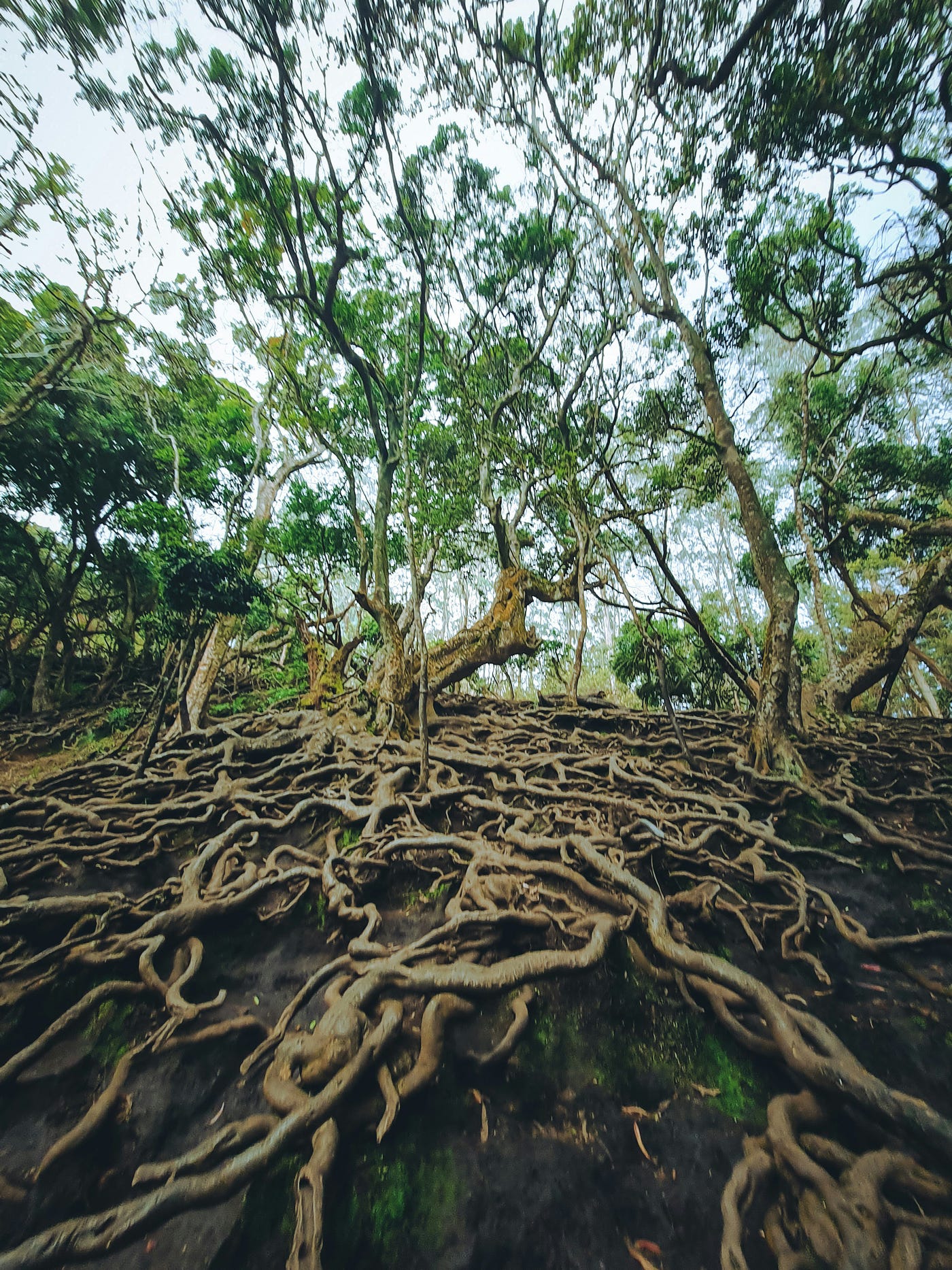 Photo by Baesil on Unsplash