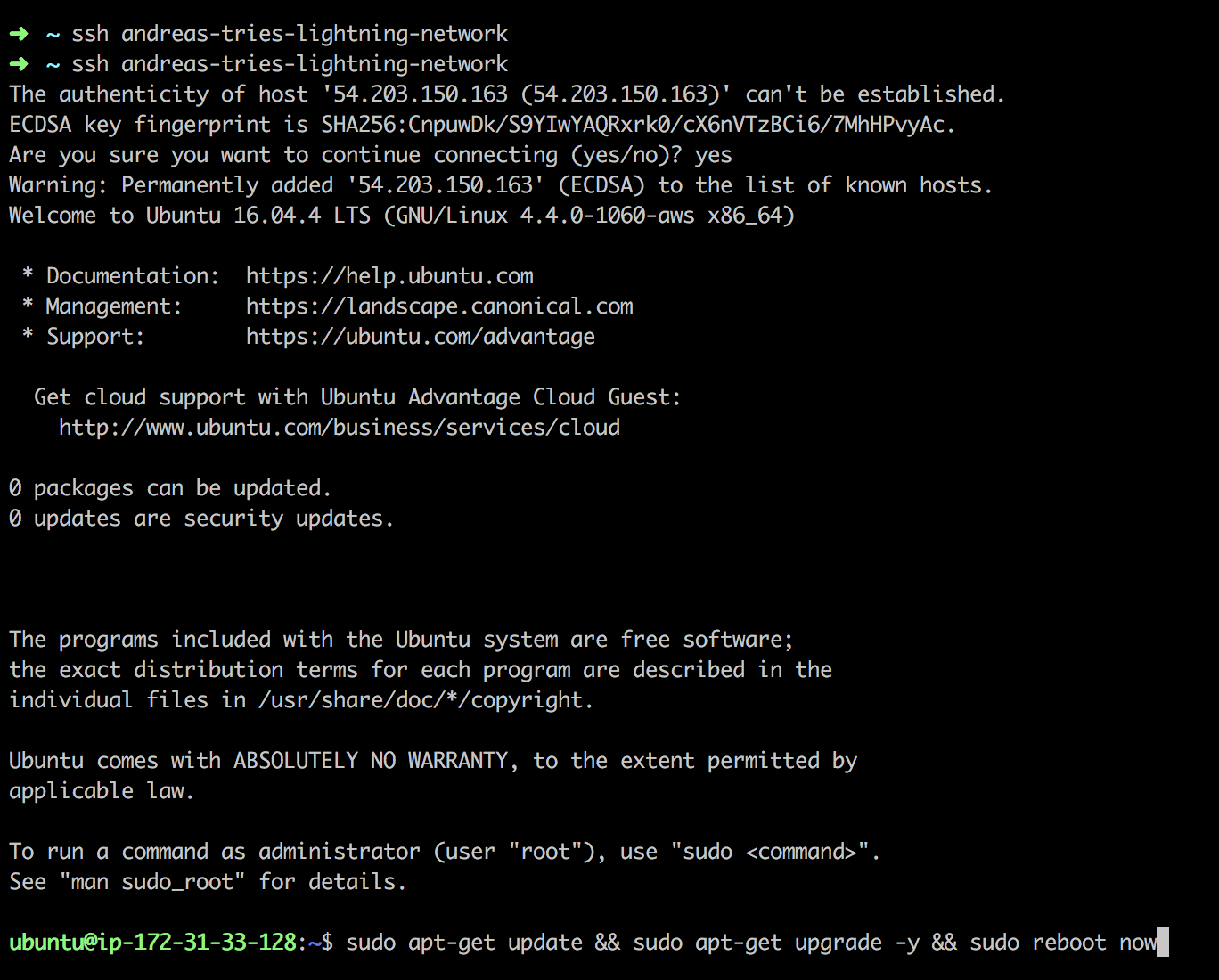 Bitcoin Lightning Network #1: Can I compile and run a node? | by Andreas  Brekken | Shitcoin.com | Medium