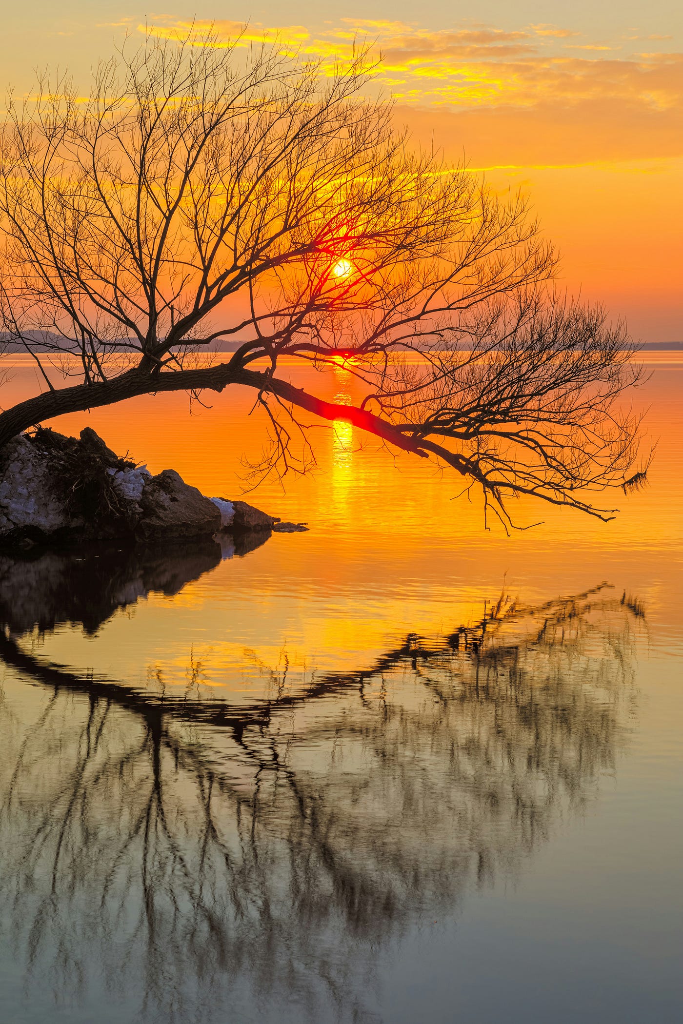 Photo by Dave Hoefler on Unsplash