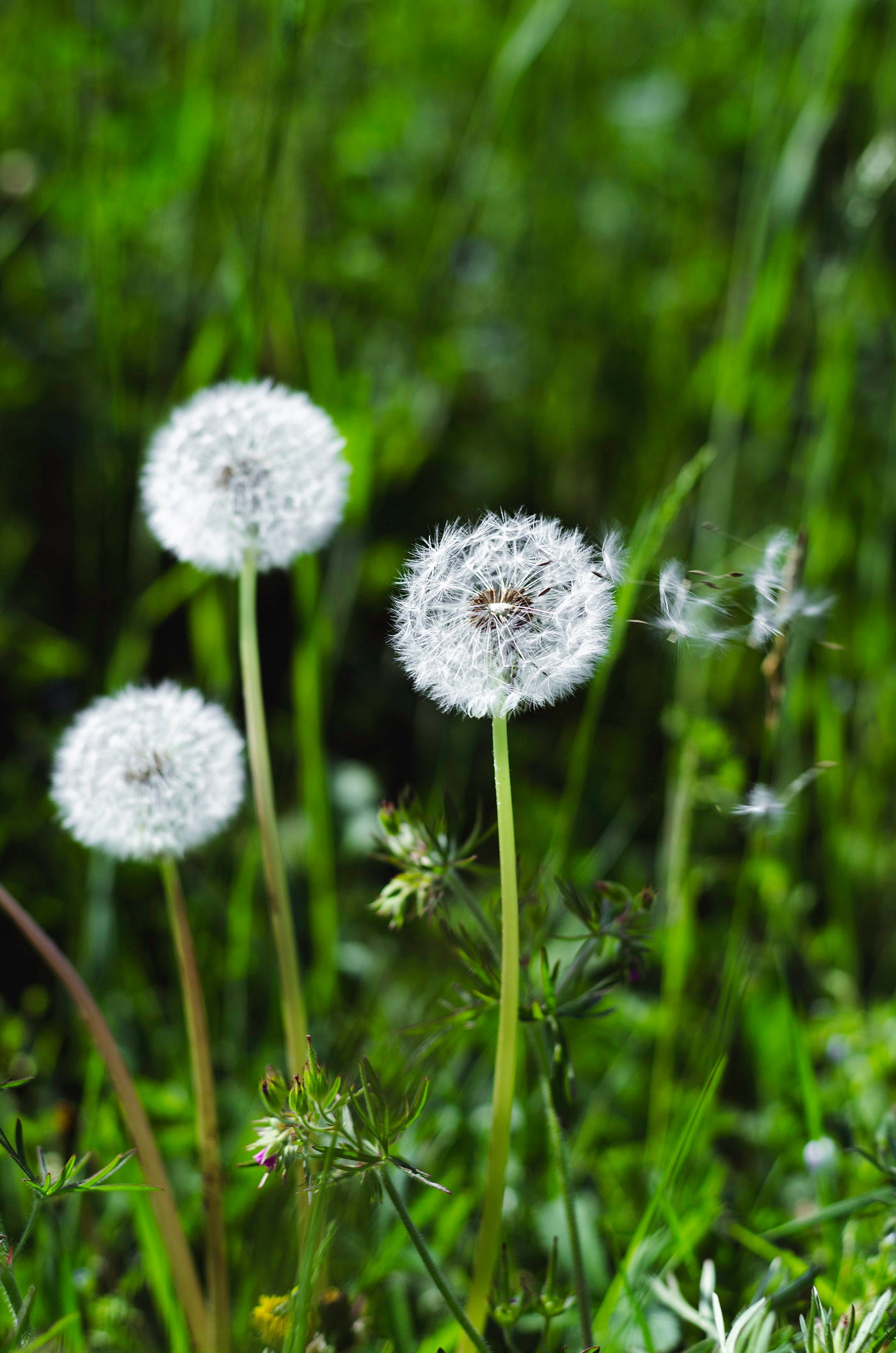 Photo by Valeria Strogoteanu on Unsplash