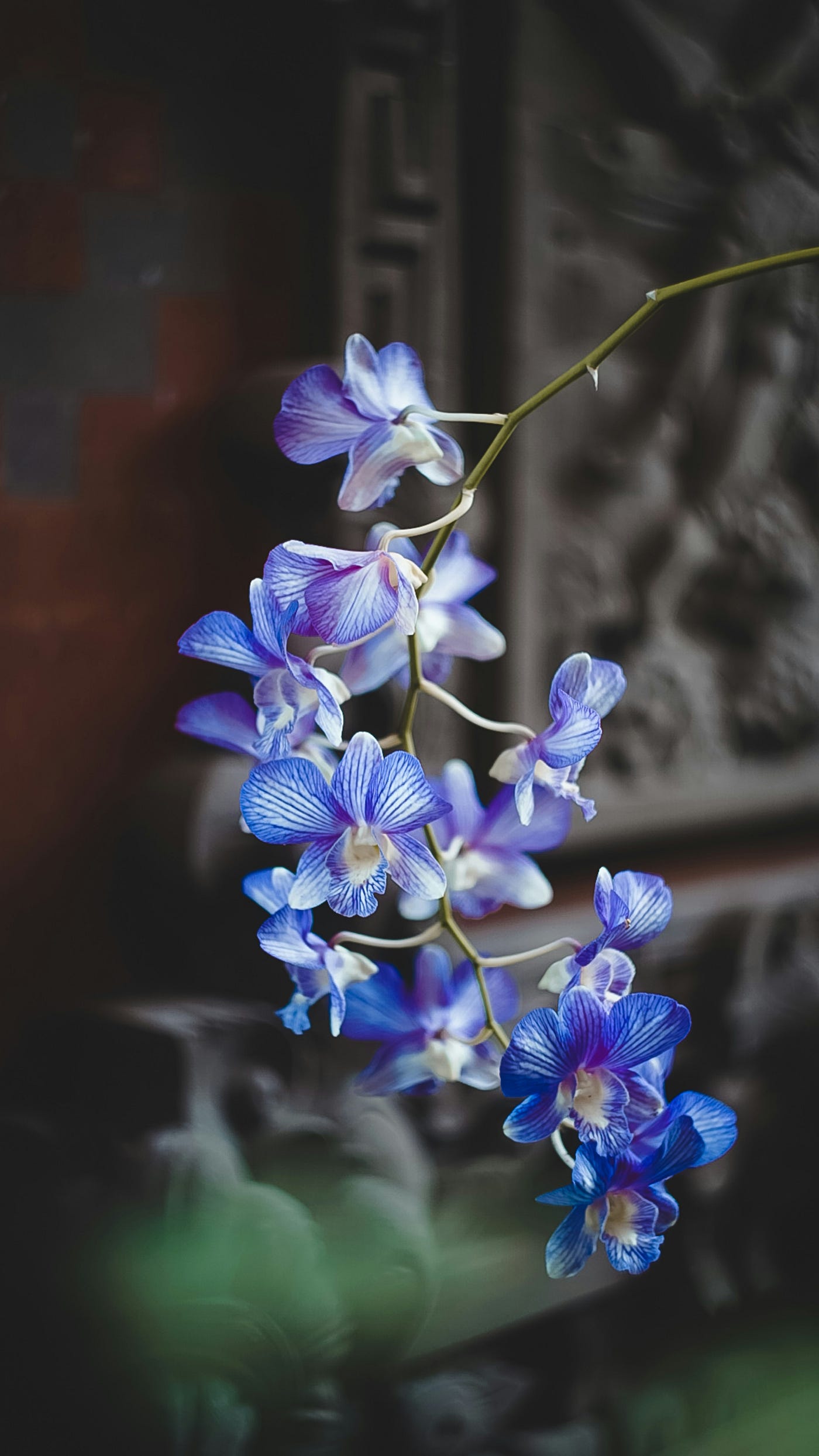 Photo by Kseniia Ilinykh on Unsplash