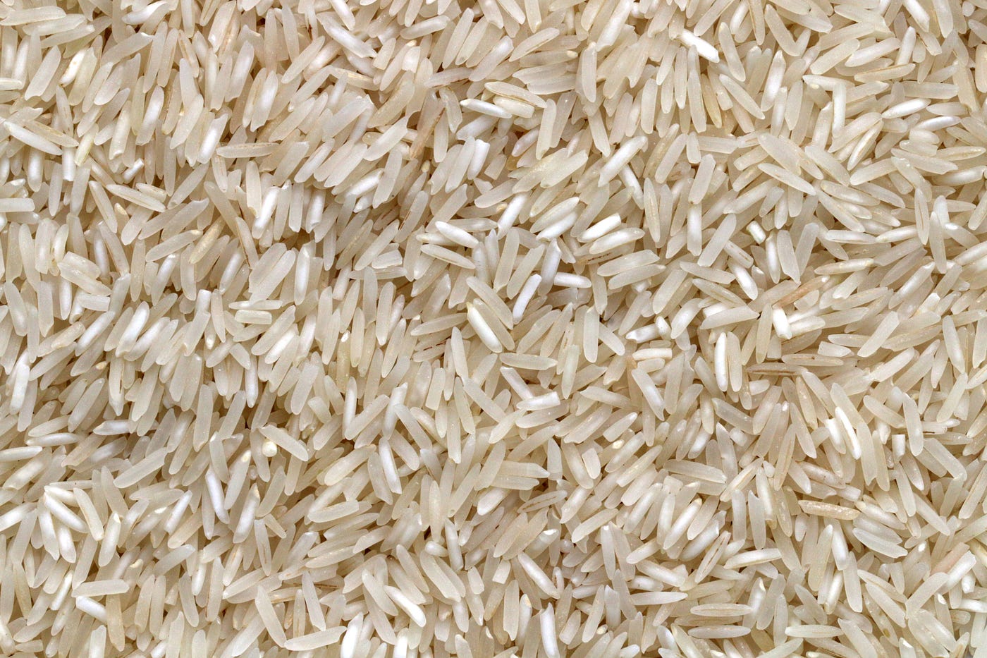 Why Can'T You Feed Birds Rice: Uncover the Truth