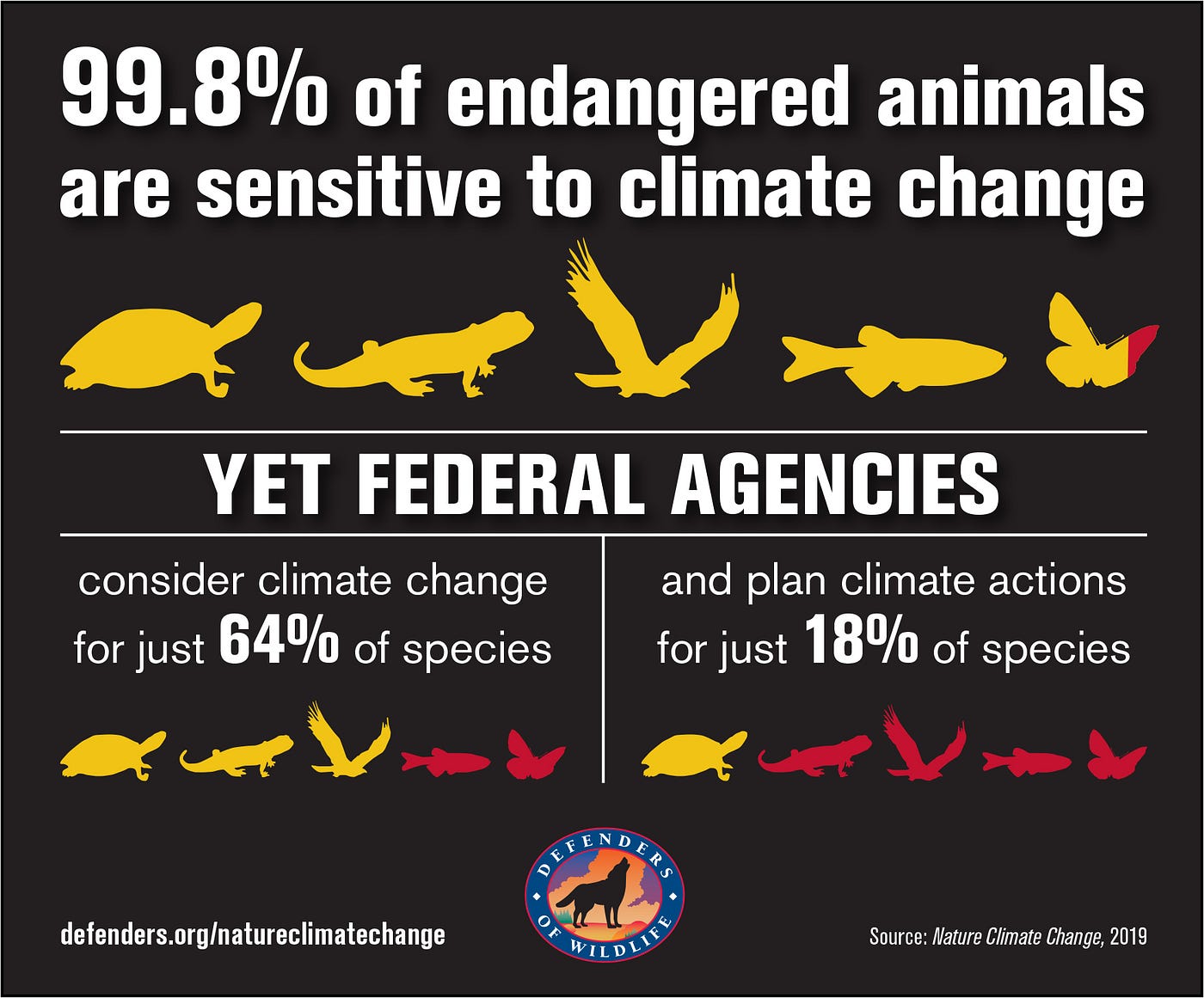 People are a greater threat to wildlife than climate •
