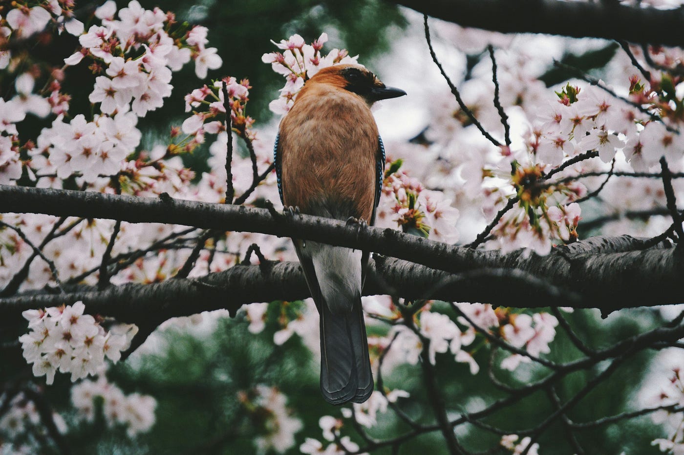 Photo by m h on Unsplash