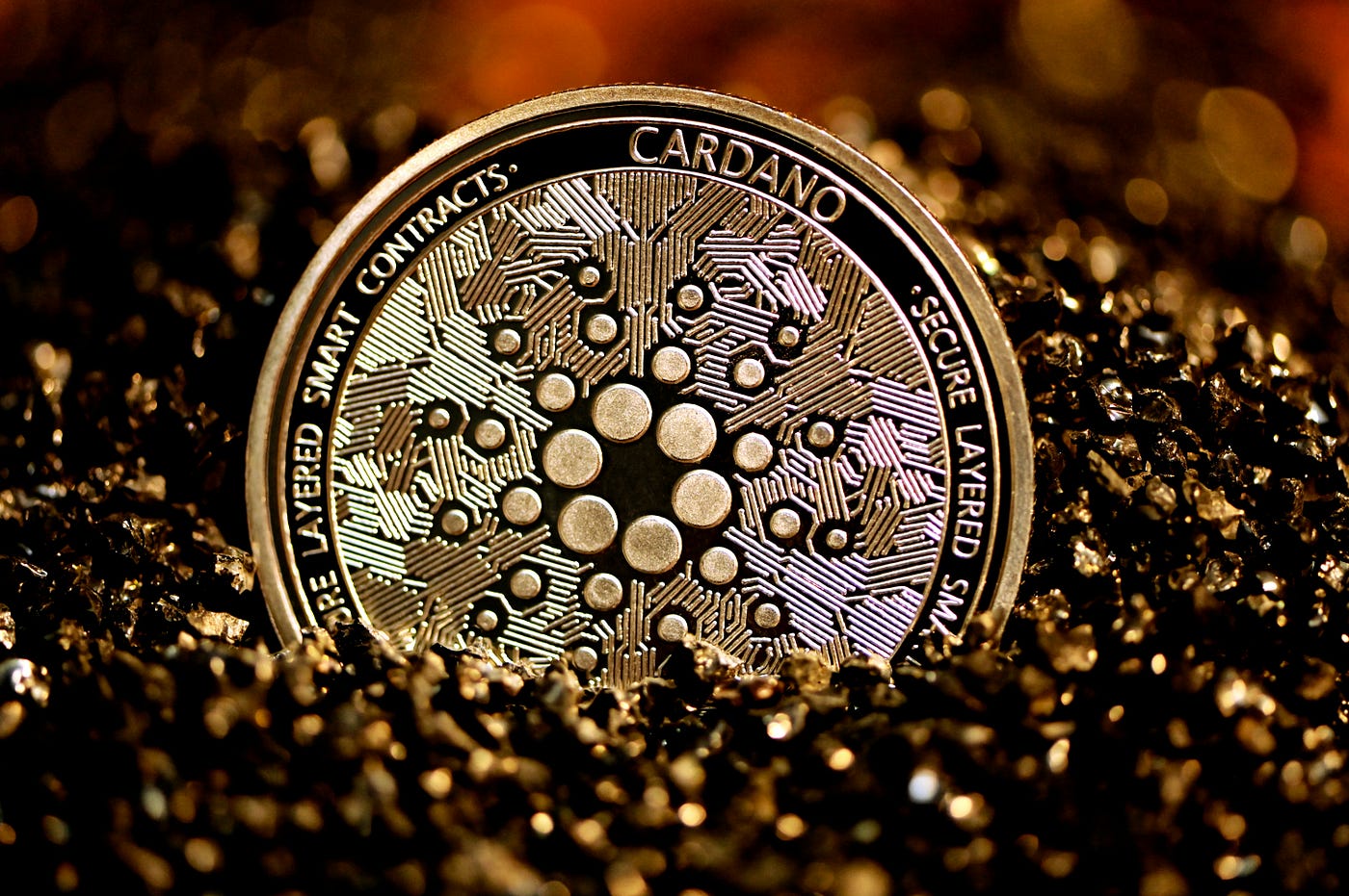 Cardano Will Make You a Millionaire! ADA Price Prediction for 2025 | by Tom  Holland | Coinmonks | Medium