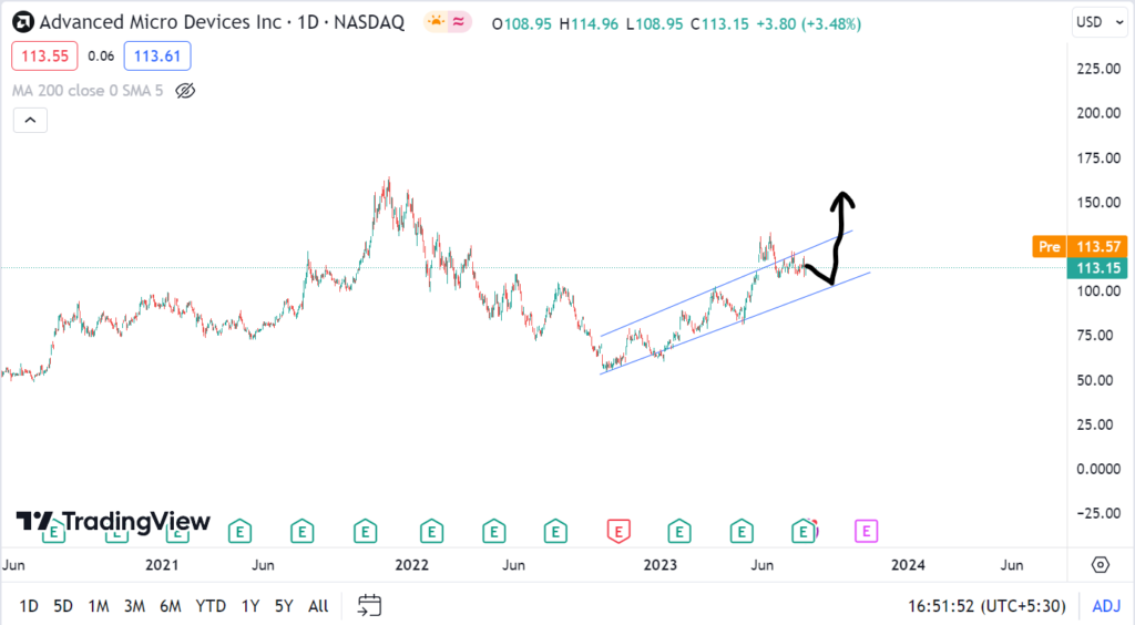 AMD Share Price Target 2024, 2025, 2030, by Raveen Chawla