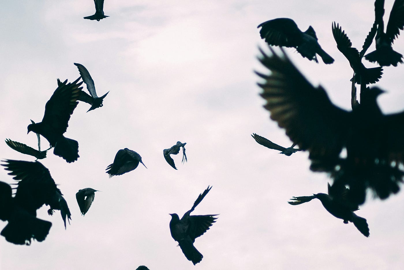 Photo by JJ Shev on Unsplash