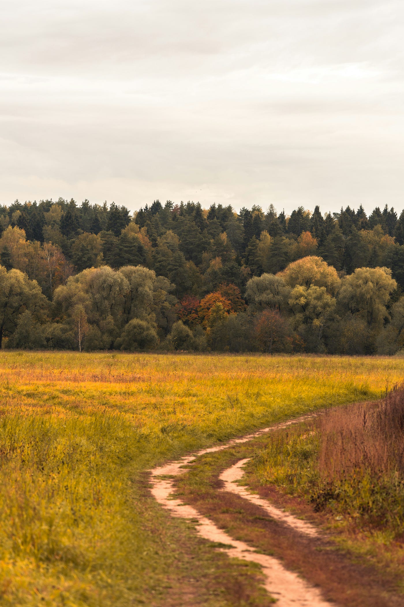 Photo by German Krupenin on Unsplash