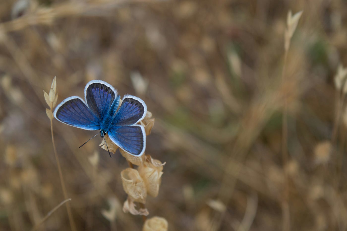 Photo by Michele Bergami on Unsplash